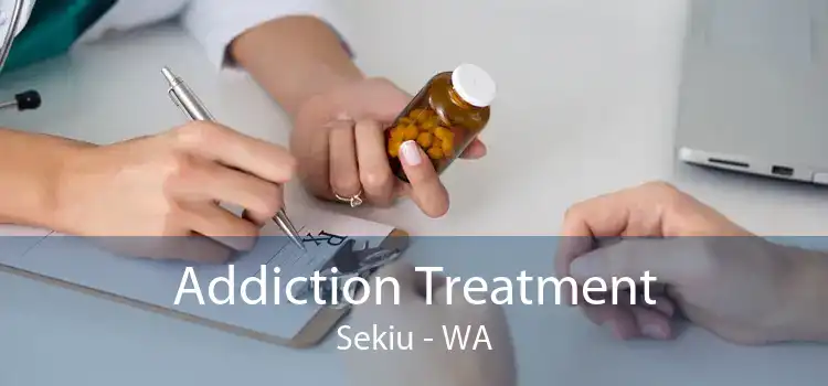 Addiction Treatment Sekiu - WA