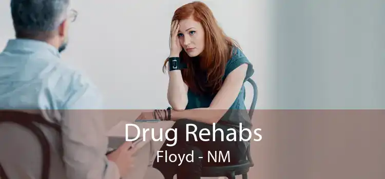 Drug Rehabs Floyd - NM