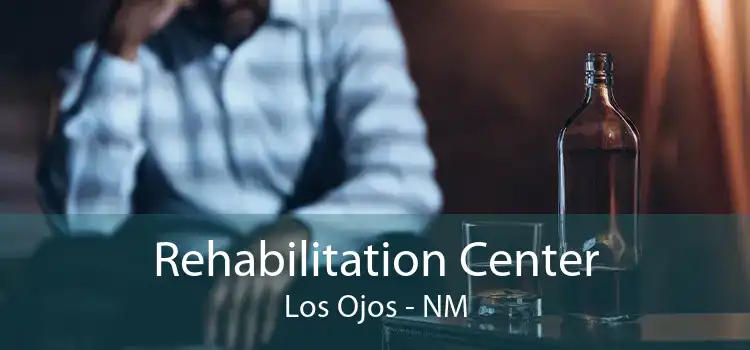 Rehabilitation Center Los Ojos - NM