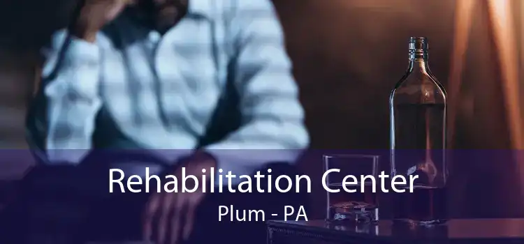 Rehabilitation Center Plum - PA